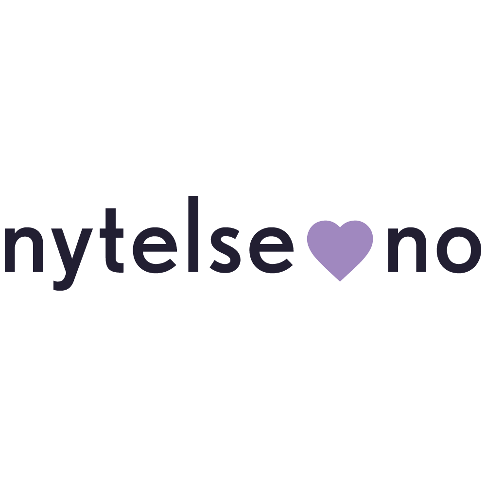 Nytelse.no logo