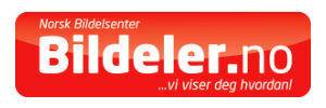 Bildeler.no logo